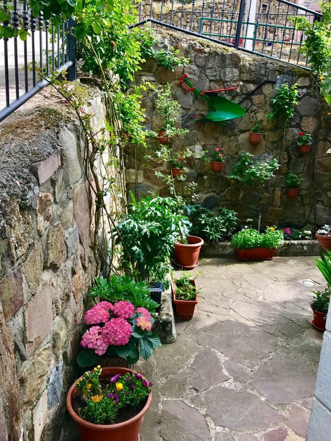 Apartamentos Rurales Los Nogales Cosgaya Buitenkant foto