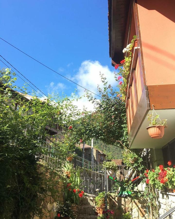 Apartamentos Rurales Los Nogales Cosgaya Buitenkant foto